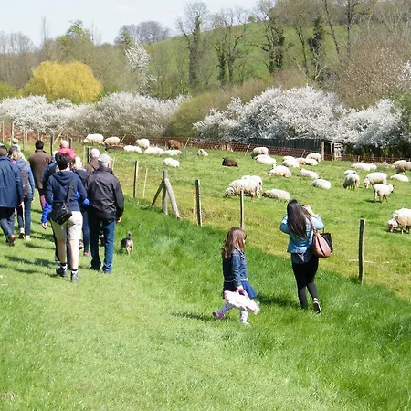 Voer En Herve Rémersdael